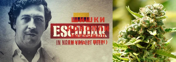 прущая мука Беломорск