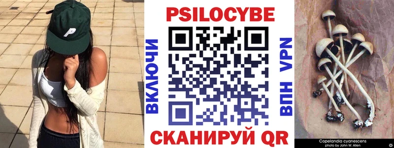 Купить закладки  Сосновый Бор  Галлюциногенные грибы мухоморы 