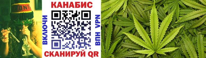 Купить  Сосновый Бор  Конопля MAZAR 